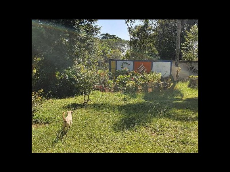 Chácara à venda Cipó do Meio com 5900m² e 5 quartos por R$ 315.000 - 920758475-1951467444.jpg