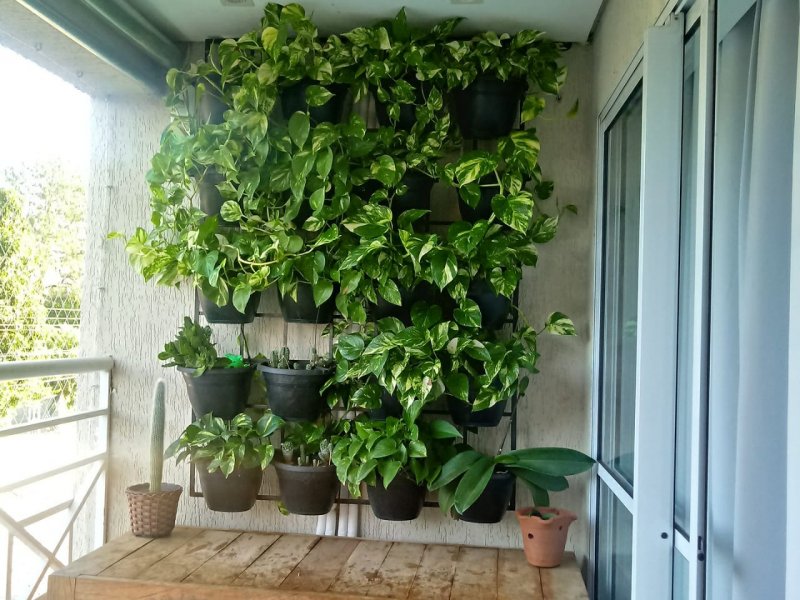 Apartamento à venda Jardim Cruzeiro do Sul com 55m² e 2 quartos por R$ 350.000 - 514354869-whatsapp-image-2019-07-16-at-10.jpeg
