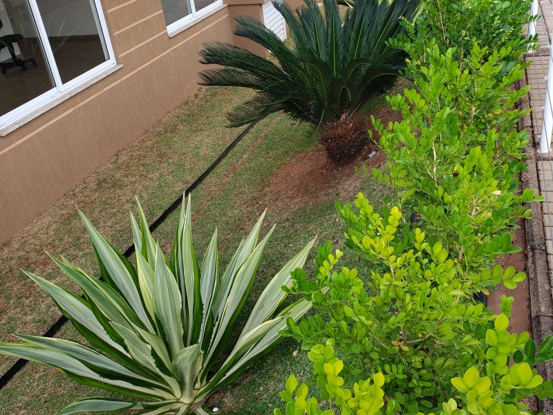 Apartamento à venda Jardim Cruzeiro do Sul com 55m² e 2 quartos por R$ 350.000 - 766487398-20200624-081044.jpg