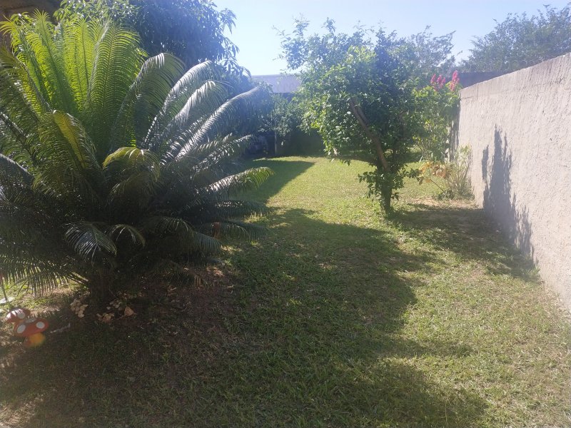 Casa à venda Santa Cruz com 378m² e 2 quartos por R$ 150.000 - 1410232409-img-20200613-124456.jpg