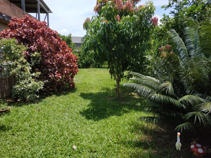 Casa à venda Santa Cruz com 378m² e 2 quartos por R$ 150.000 - 1798335797-img-20200611-wa0021.jpg