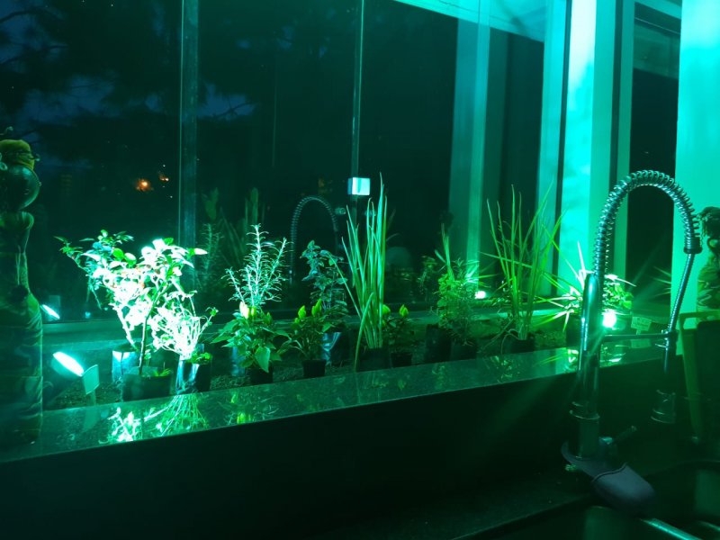 Casa de condomínio à venda Ivoturucaia com 5000m² e 8 quartos por R$ 5.000.000 - 1535831679-img-20200625-wa0143.jpg