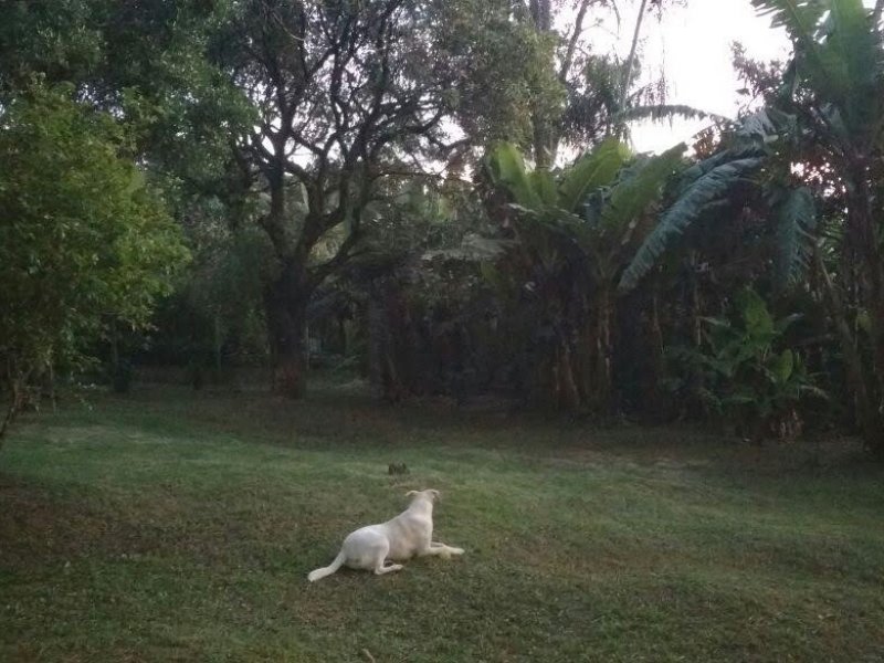 imóvel com 120m² - Parque Pirapora - Salto de Pirapora
