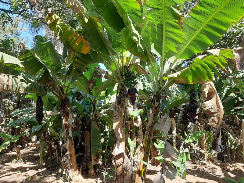 imóvel com 120m² - Parque Pirapora - Salto de Pirapora