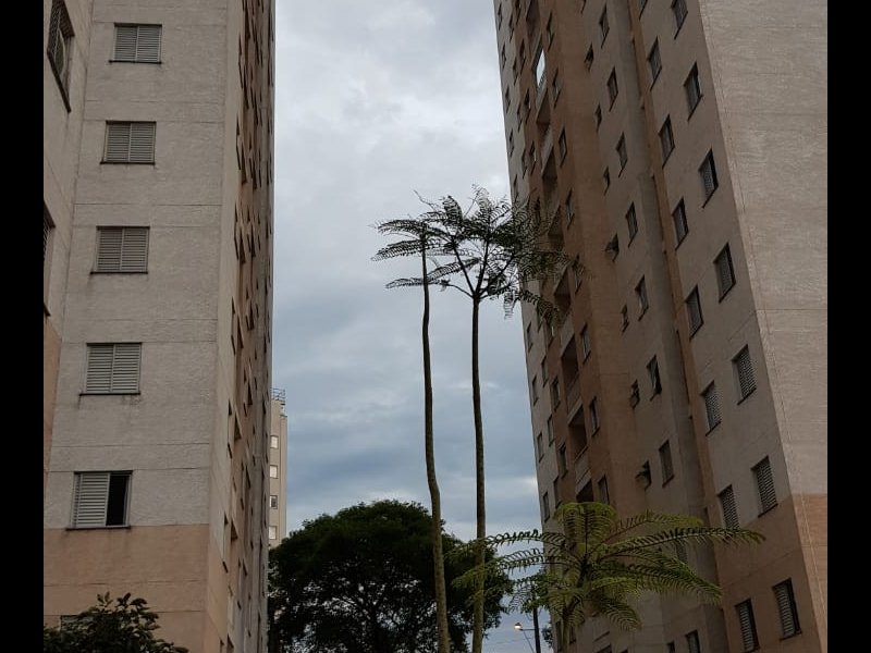 Apartamento à venda Suiço com 50m² e 2 quartos por R$ 295.000 - 1287564692-img-20181115-wa0015.jpg