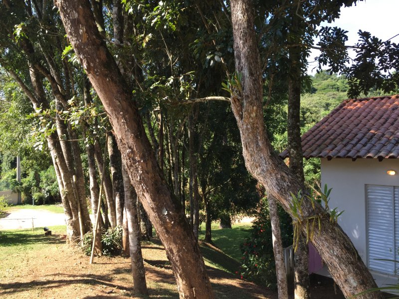 Casa de condomínio à venda Ressaca com 254m² e 3 quartos por R$ 800.000 - 2128401336-3f26d506-3781-4902-a660-d3b94b2dcaec.jpeg