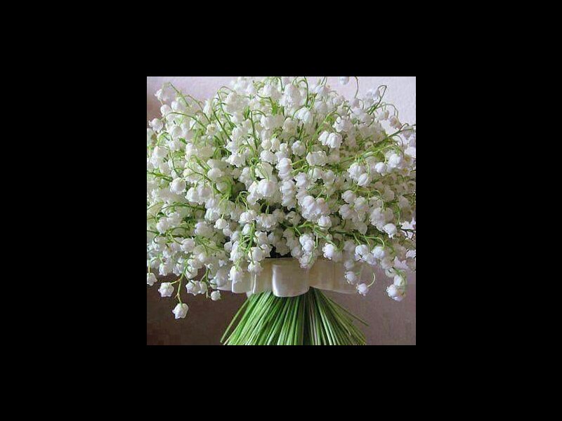 Casa à venda Mirante de Jindiai com 340m² e 4 quartos por R$ 1.000.000 - 1271022498-c606e6f6-ec6e-4076-8c4c-165aa54cda33.jpeg