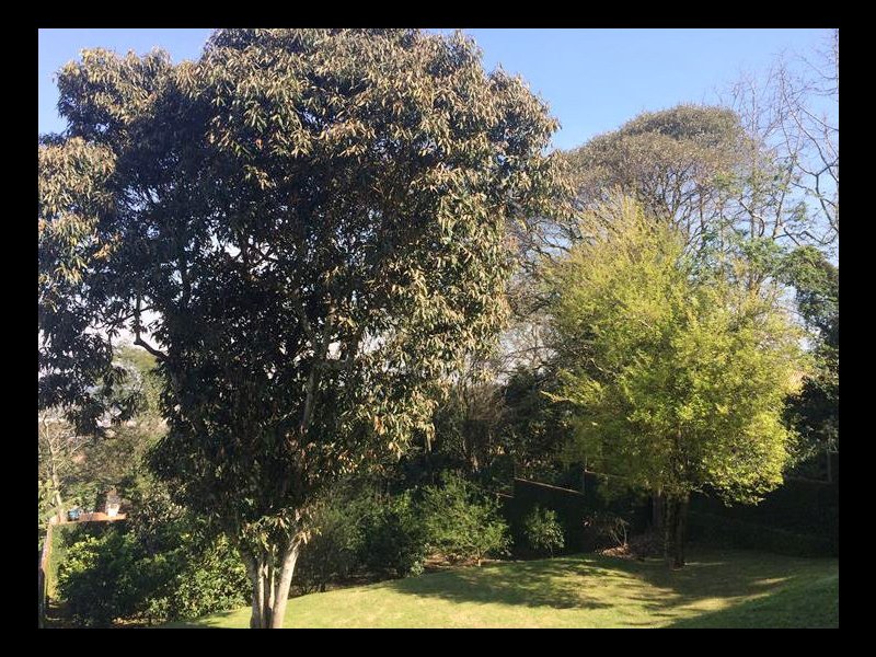 Casa à venda Rondônia com 284m² e 4 quartos por R$ 1.290.000 - 1470183877-037534c1-3048-4875-a399-ac02b8534d6b.jpeg