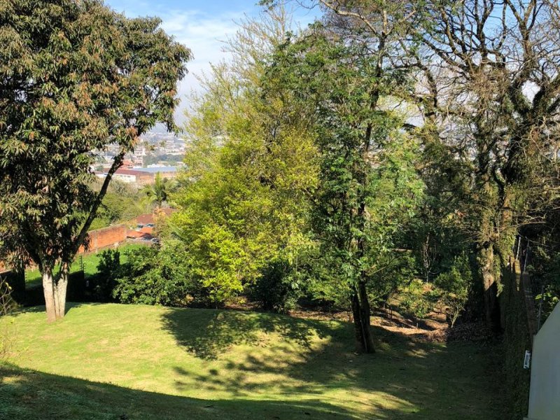 Casa à venda Rondônia com 284m² e 4 quartos por R$ 1.290.000 - 7814700-e294eba8-ed8a-4a05-b93b-6fb371c745e9.jpeg