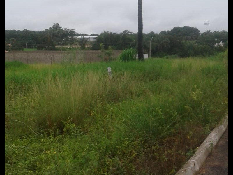 Terreno à venda Vila Parati com 250m² e  quartos por R$ 65.000 - 391416839-whatsapp-image-2020-02-15-at-09.jpeg