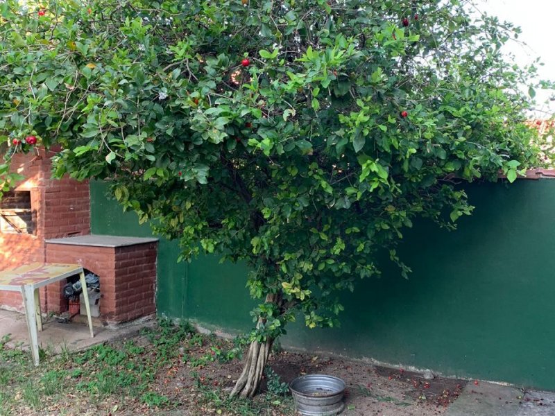 imóvel com 120m² - Iguaba Pequena - Iguaba Grande
