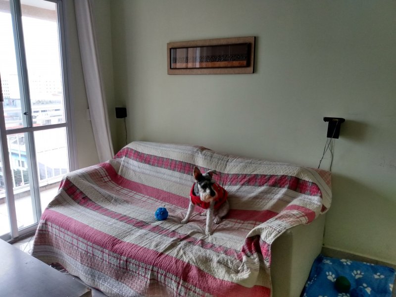 Apartamento à venda Luz com 50m² e 2 quartos por R$ 360.000 - 1937155728-img-20190905-101910927-hdr.jpg