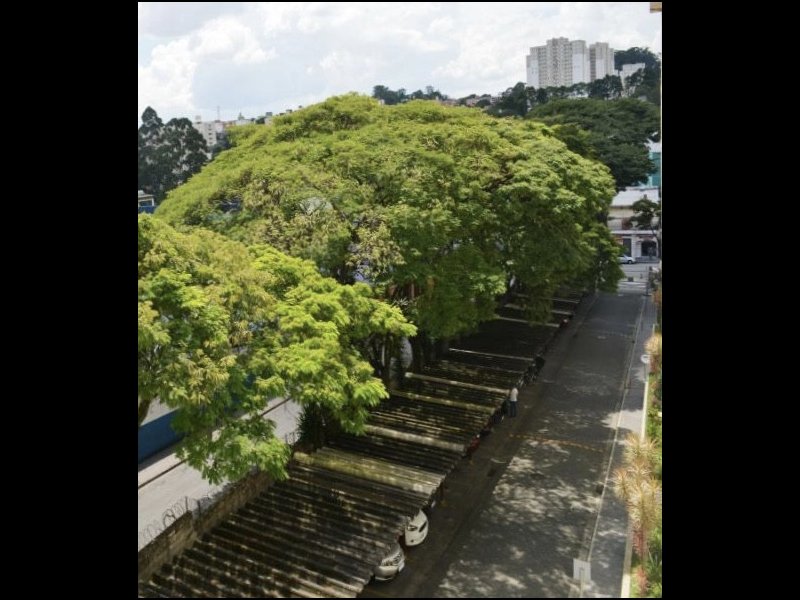 Apartamento à venda Vila Carmosina com 52m² e 2 quartos por R$ 198.000 - 1118131519-df7fda44-014e-4279-98df-7a538ce22518.jpeg