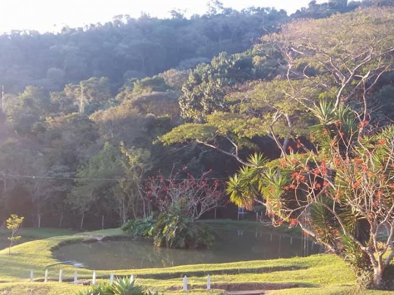 Sítio à venda lopo com 48400m² e 6 quartos por R$ 1.600.000 - 1175486757-lago-de-peixes.jpg