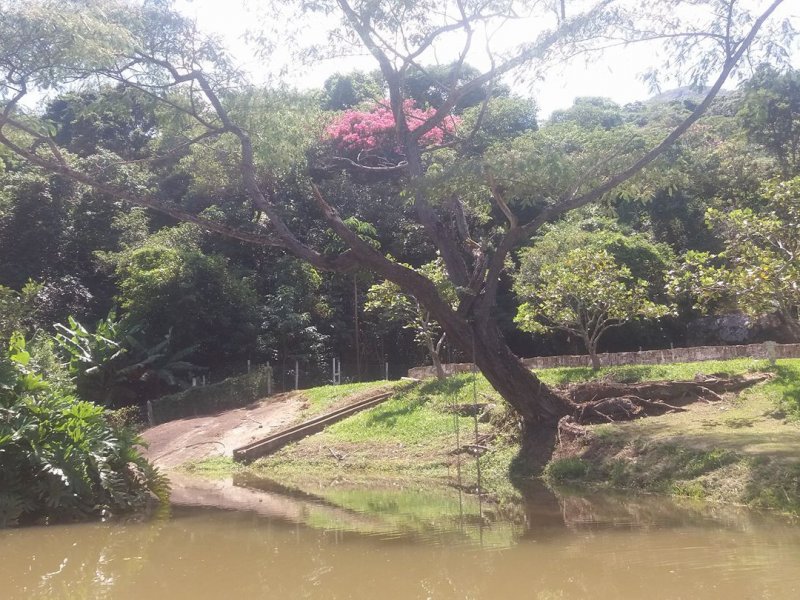 Sítio à venda lopo com 48400m² e 6 quartos por R$ 1.600.000 - 299887702-16835939-1191156817668978-4006701189899636586-o.jpg