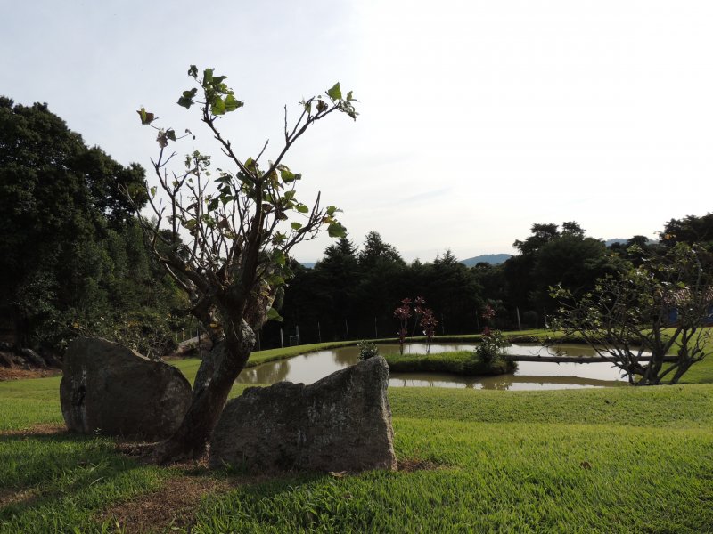 Sítio à venda lopo com 48400m² e 6 quartos por R$ 1.600.000 - 507791257-dscn5602.JPG