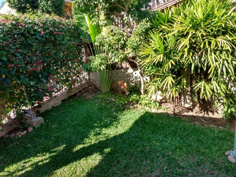 Casa à venda Vila Nova com 75m² e 2 quartos por R$ 279.000 - 586611744-whatsapp-image-2020-05-20-at-11.jpeg