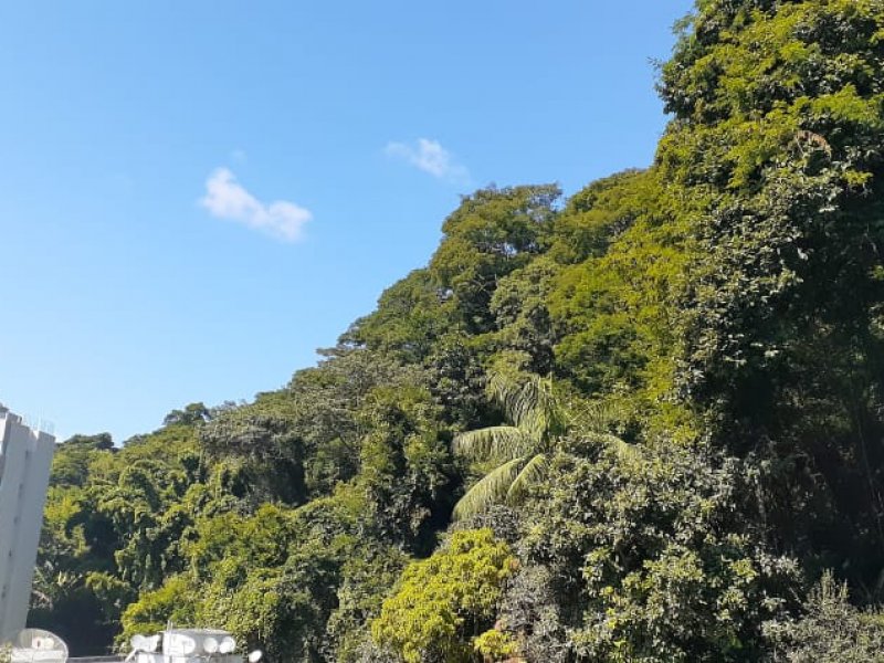 Apartamento à venda Centro com 78m² e 3 quartos por R$ 350.000 - 1598194649-34.jpg