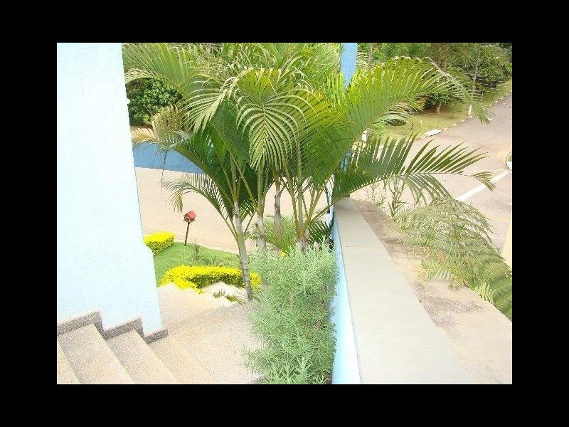 Casa de condomínio à venda Jardim Fazenda Rincao - Aruja V com 288m² e 3 quartos por R$ 1.300.000 - 932543098-casa8.jpg