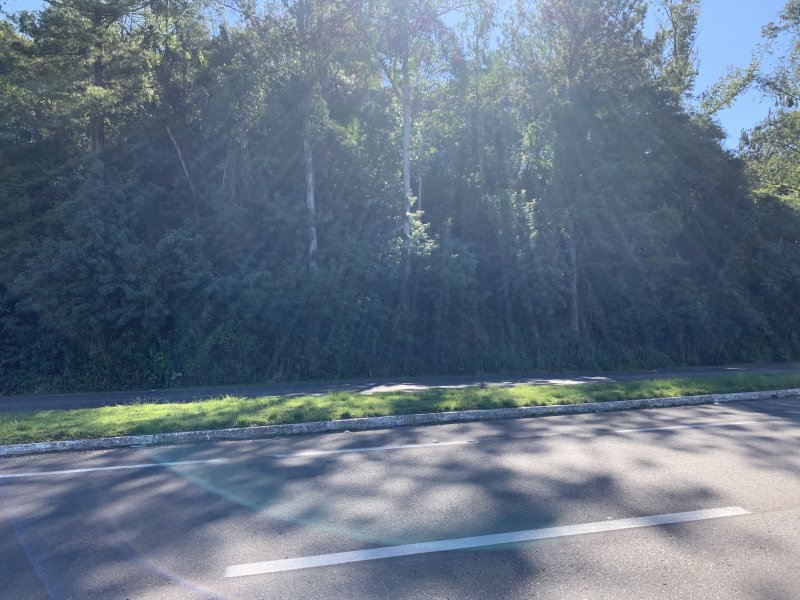 Terreno à venda IMIGRANTE com 76000m² e 1 quarto por R$ 6.000.000 - 124900475-27a53904-108b-4ad8-8e67-5f9b3b6a3260.jpeg