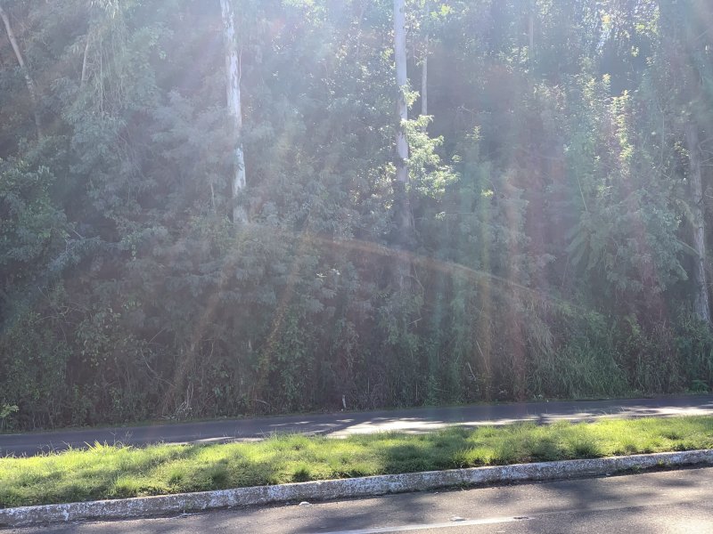 Terreno à venda IMIGRANTE com 76000m² e 1 quarto por R$ 6.000.000 - 1272853125-93e69bd8-0440-4656-bf58-3cf730207d5a.jpeg