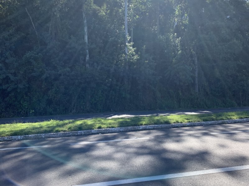 Terreno à venda IMIGRANTE com 76000m² e 1 quarto por R$ 6.000.000 - 1526195913-3e502ae8-9c4f-4d5b-adc0-4f21f4c00dd9.jpeg