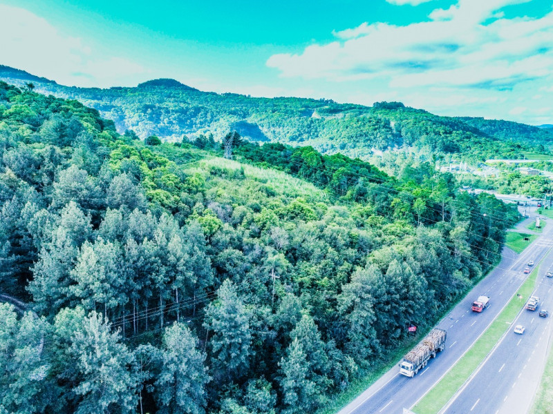 Terreno à venda IMIGRANTE com 76000m² e 1 quarto por R$ 6.000.000 - 244884978-389db49a-24b4-4def-b8d3-e7fd26f174ef.jpeg