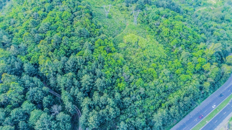 Terreno à venda IMIGRANTE com 76000m² e 1 quarto por R$ 6.000.000 - 58265607-5764dafc-9fee-4cc9-80c2-cdbe87289b01.jpeg