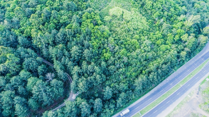 Terreno à venda IMIGRANTE com 76000m² e 1 quarto por R$ 6.000.000 - 674286525-aad7681e-2aa6-4fd9-b003-9db47d6ac05f.jpeg