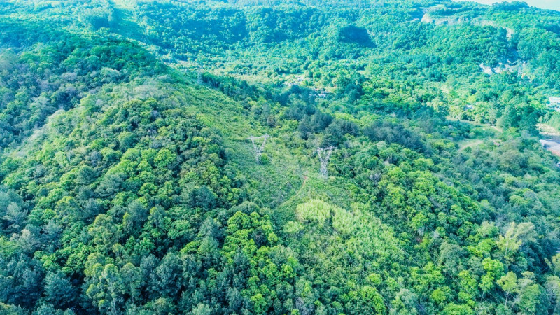 Terreno à venda IMIGRANTE com 76000m² e 1 quarto por R$ 6.000.000 - 691377763-48d5c365-6787-408b-aa84-44914d48edb9.jpeg