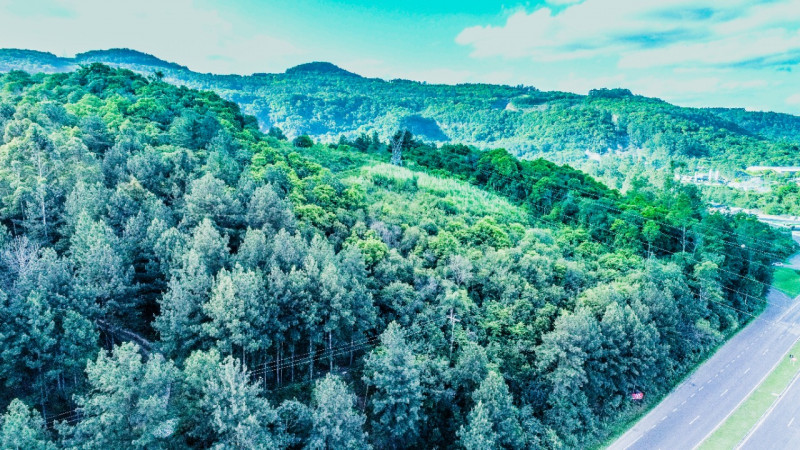 Terreno à venda IMIGRANTE com 76000m² e 1 quarto por R$ 6.000.000 - 970383919-6bc69fb5-d0d1-4eef-9558-a5632aa60cc1.jpeg