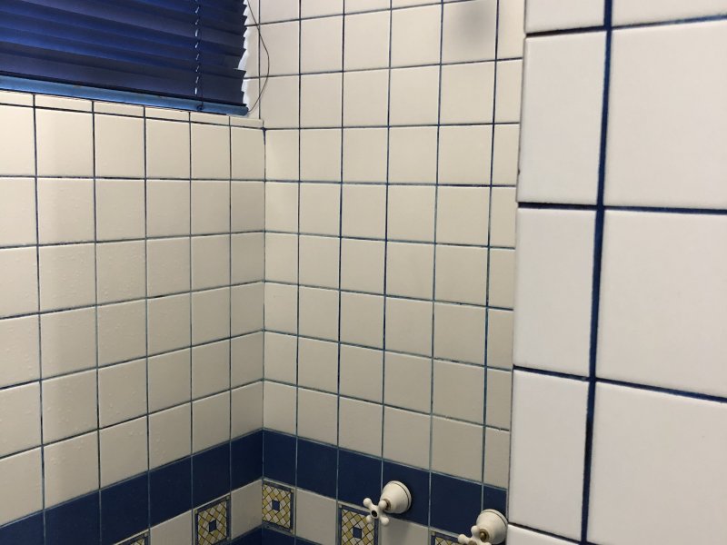 imóvel com 483m² - Saguaçu - Joinville