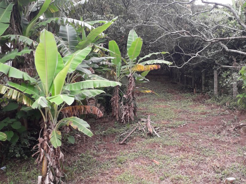 Casa de condomínio à venda Chácaras Alpina com 1000m² e 1 quarto por R$ 450.000 - 303148233-inbound2866117204817343101.jpg