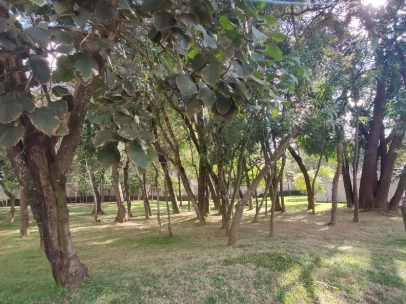 Apartamento à venda Jardim Ansalca com 47m² e 2 quartos por R$ 175.000 - 1655775369-img-20200716-wa0033.jpg