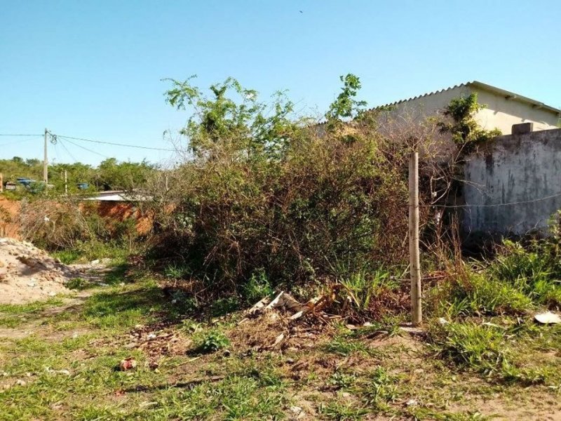 Terreno à venda Porto do carro com 250m² e  quartos por R$ 40.000 - 1712397553-4.jpg