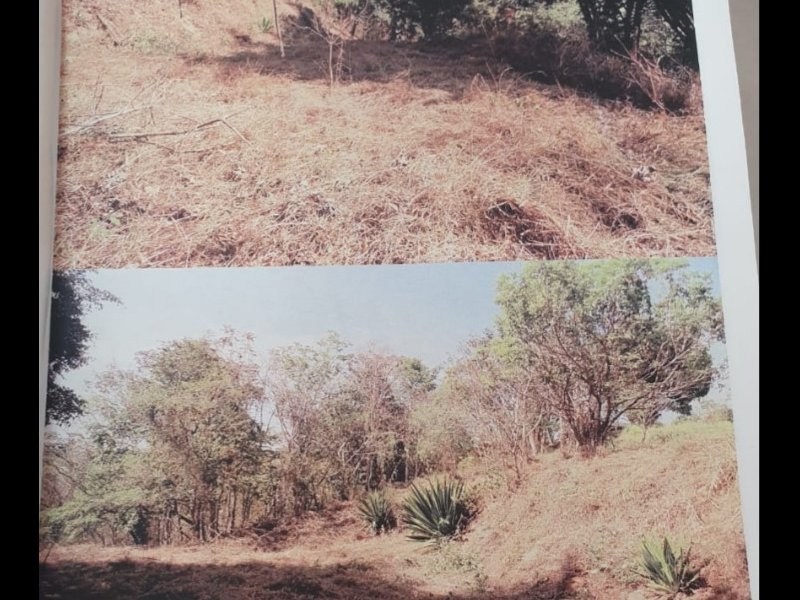 Terreno à venda Quarenta e Dois com 1618m² e  quartos por R$ 189.000 - 1361744850-20200804-115911.jpg