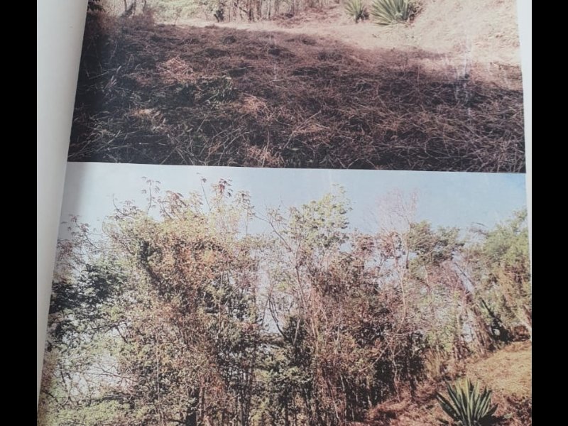 Terreno à venda Quarenta e Dois com 1618m² e  quartos por R$ 189.000 - 148379897-20200804-115948.jpg