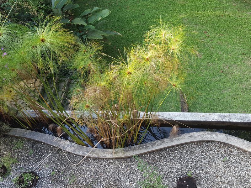 Casa de condomínio à venda Chácaras Embu Colonial com 650m² e 4 quartos por R$ 1.800.000 - 1112192353-piso-principal-vista-da-varanda-da-sala-2.jpg