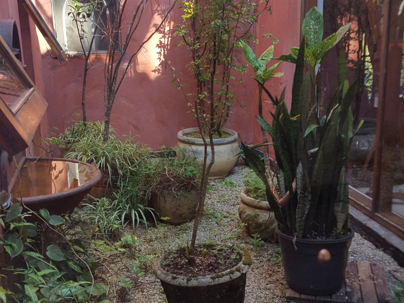 Casa de condomínio à venda Chácaras Embu Colonial com 650m² e 4 quartos por R$ 1.800.000 - 142549649-piso-principal-jardim-de-inverno-3.jpg