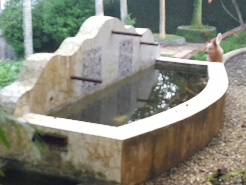 Casa de condomínio à venda Chácaras Embu Colonial com 650m² e 4 quartos por R$ 1.800.000 - 542923096-fonte-em-frente-salao.jpg