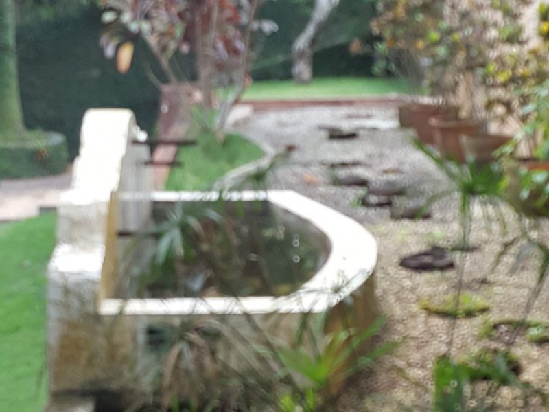 Casa de condomínio à venda Chácaras Embu Colonial com 650m² e 4 quartos por R$ 1.800.000 - 648041188-fonte-salao.jpg