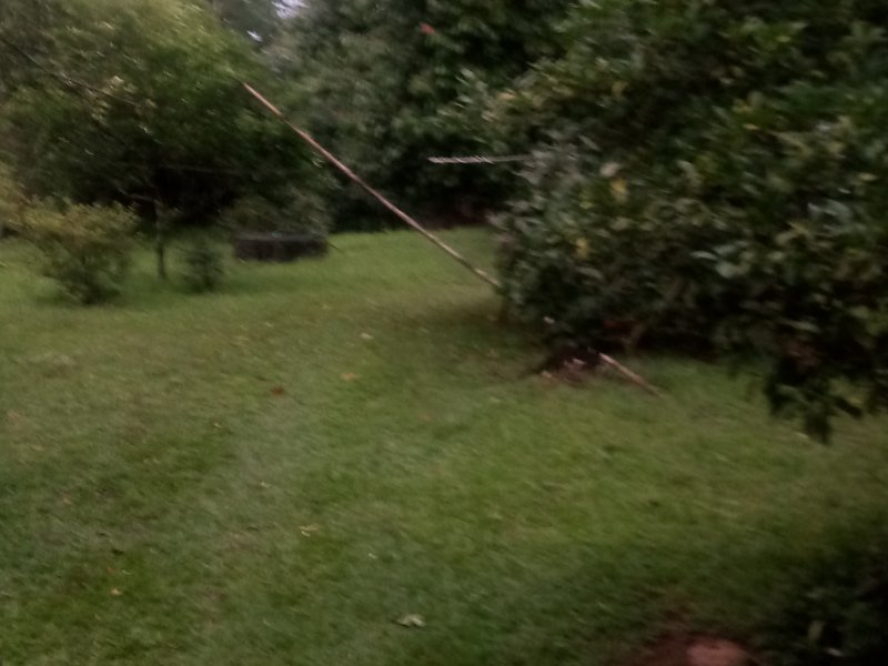 Terreno à venda Santa Cruz com 2401m² e  quartos por R$ 750.000 - 603139567-img-20191030-wa0066.jpeg