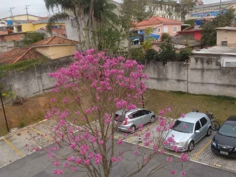 imóvel com 52m² - Jardim Central - Cotia