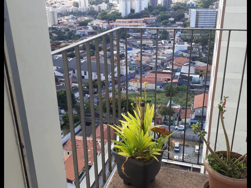 Apartamento à venda Vila Campestre com 57m² e 2 quartos por R$ 300.000 - 1145648202-14.jpg