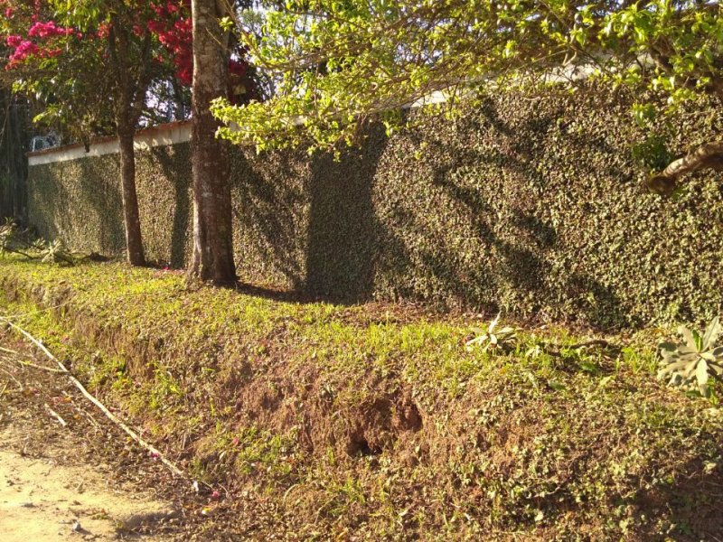 imóvel com 200m² - baruel - Suzano
