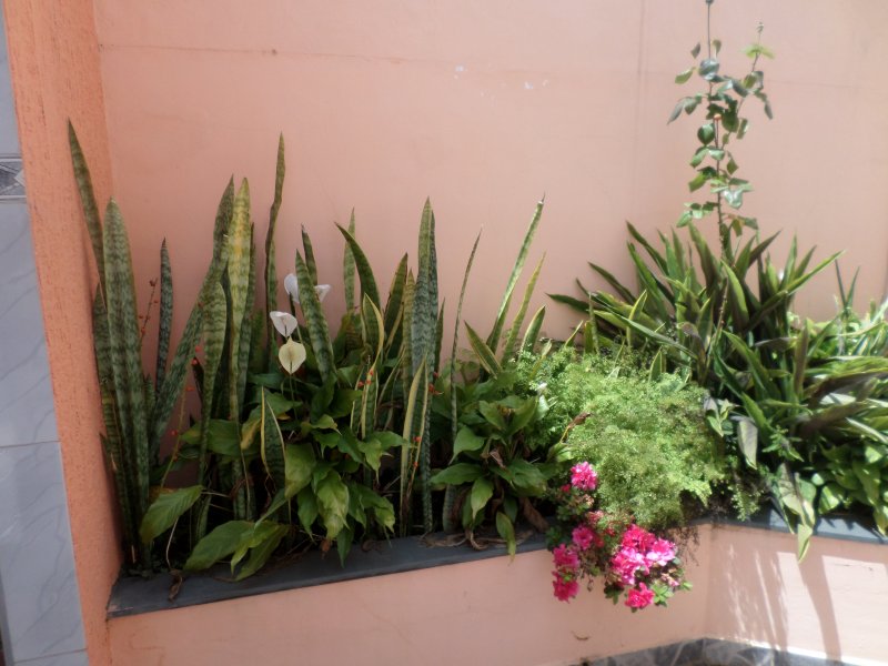 Casa à venda Jardim Santa Mena com 146m² e 3 quartos por R$ 800.000 - 621617160-sam-2008.JPG