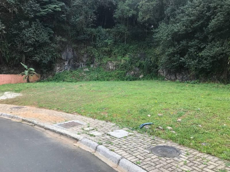 imóvel com 1000m² - Pilarzinho - Curitiba