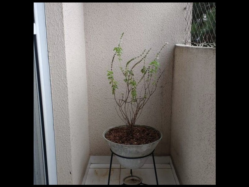 Apartamento à venda Centro com 49m² e 2 quartos por R$ 250.000 - 2072289898-0b9ae711-764b-478a-8891-a131d082322a.jpeg