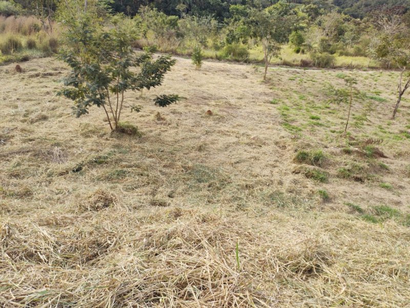 imóvel com 1000m² - Várzea - Lagoa Santa