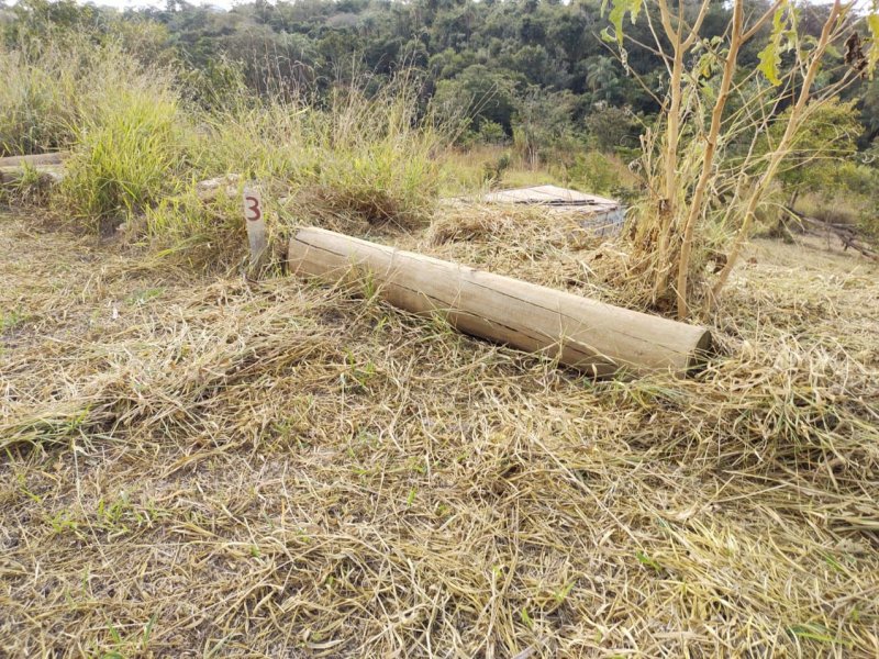 imóvel com 1000m² - Várzea - Lagoa Santa